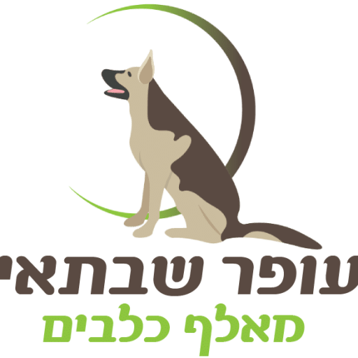עופר שבתאי – מאלף כלבים מקצועי, פתרונות לאילוף וחינוך כלבים
