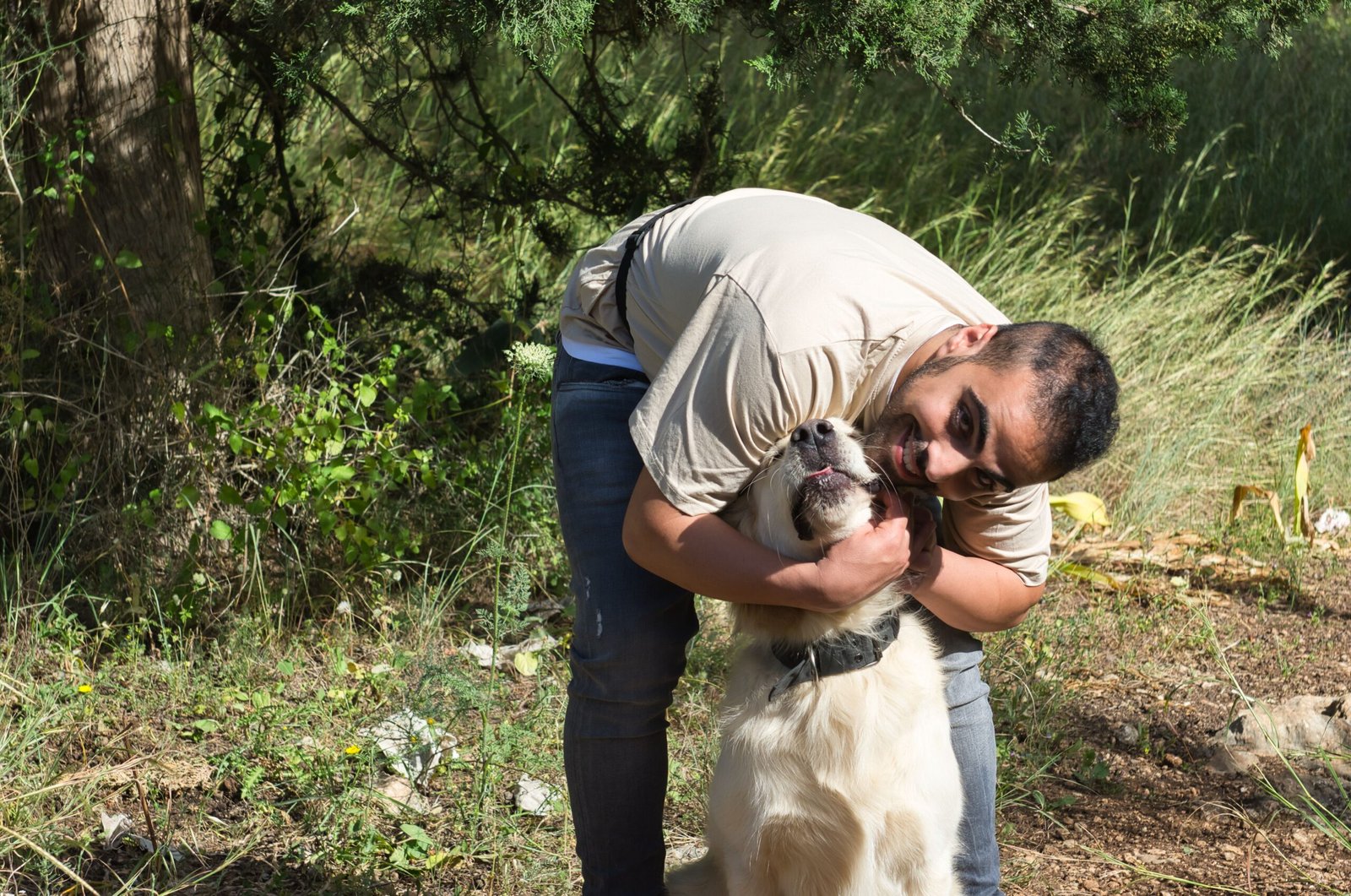 גולדן רטריבר