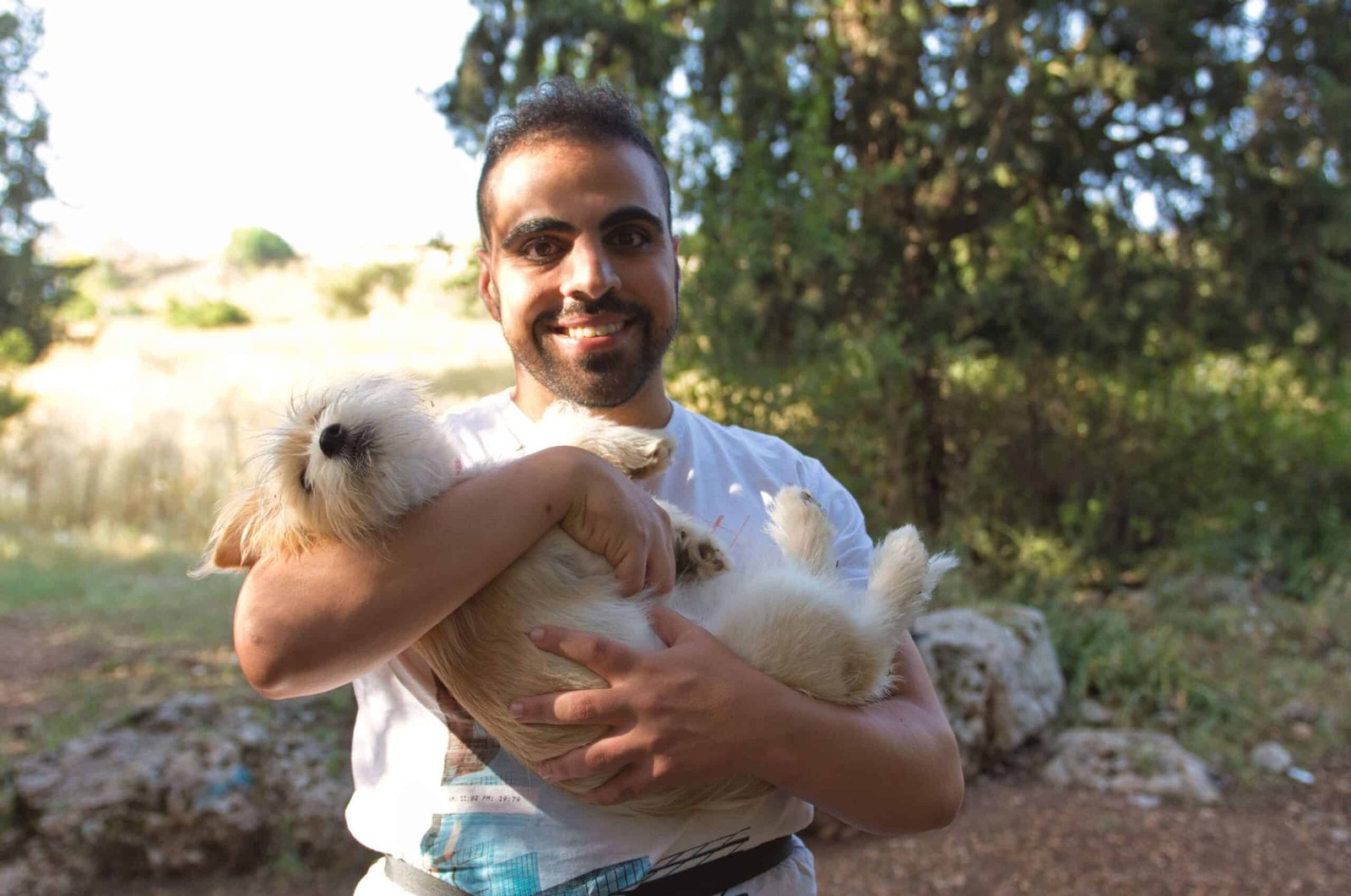 אילוף כלבים אונליין